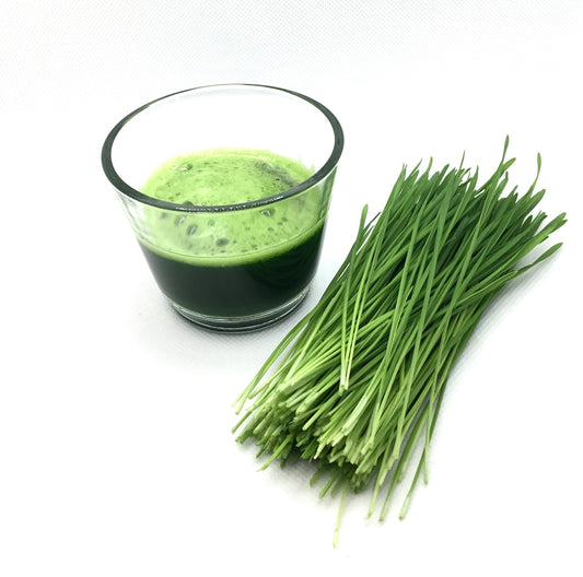 Wheatgrass